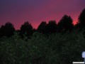 Abendrot an der Ostsee